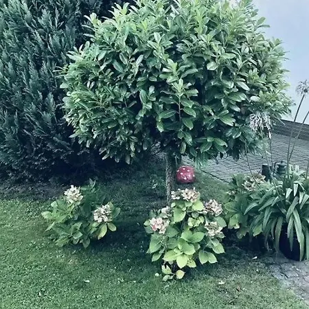 Διαμέρισμα Maritime Gemuetlichkeit